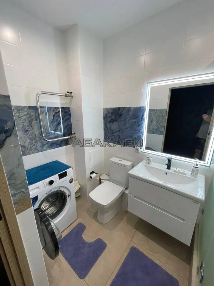 студия улица Партизана Железняка, 38  за 40000 руб/мес фото 5