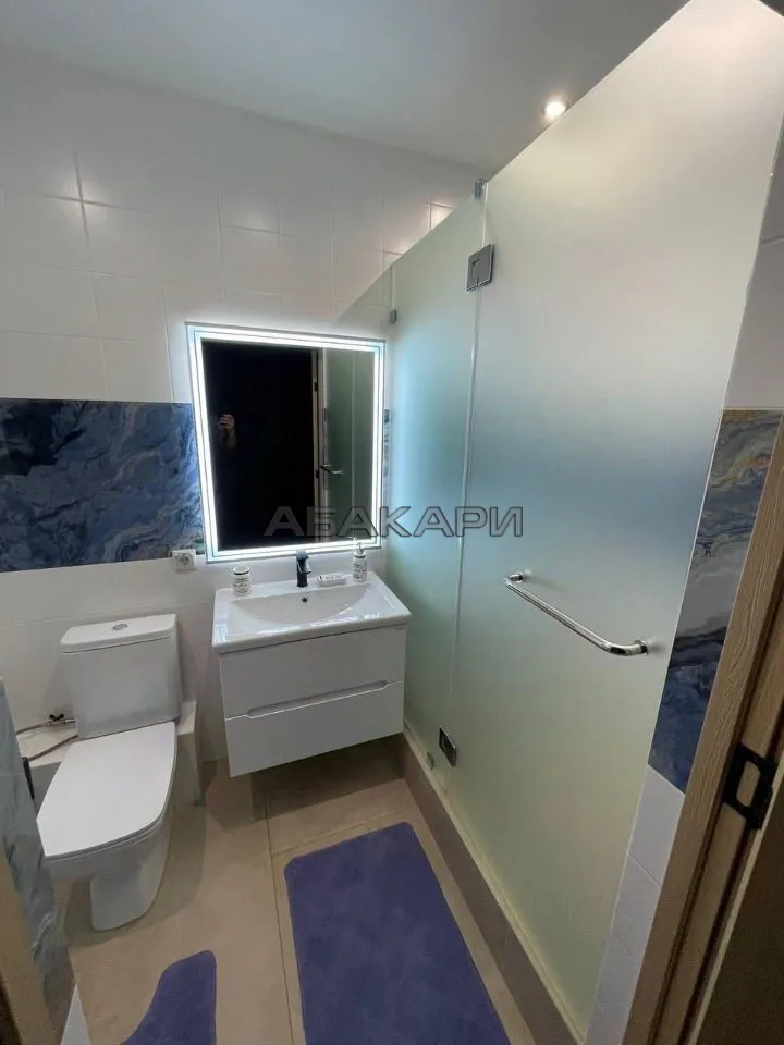 студия улица Партизана Железняка, 38  за 40000 руб/мес фото 6