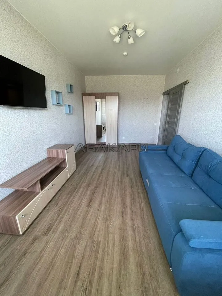 1-комнатная улица Петра Подзолкова, 3И за 35000 руб/мес фото 3 1-комнатная улица Петра Подзолкова, 3И за 35000 руб/мес фото 3