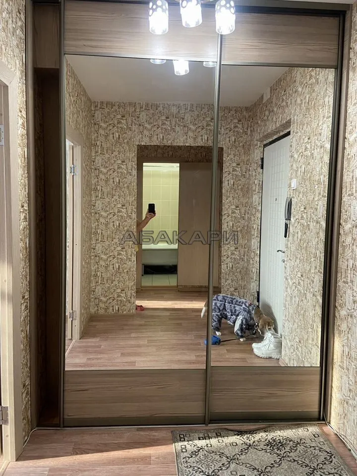 1-комнатная Лесопарковая улица, 17  за 27000 руб/мес фото 4