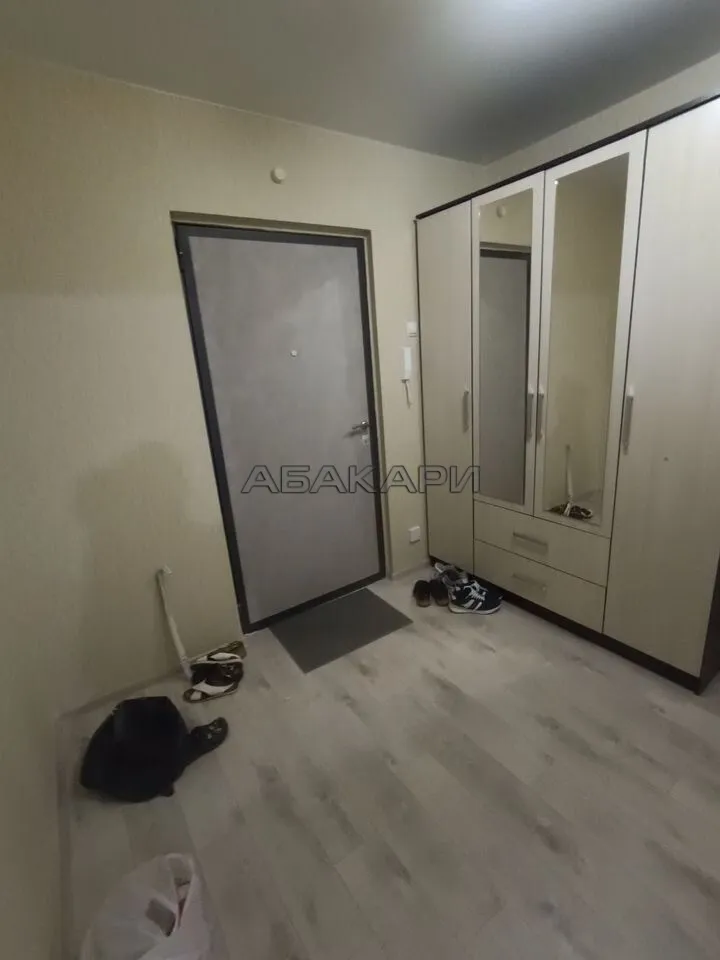 1-комнатная Аральская улица, 43  за 28000 руб/мес фото 4