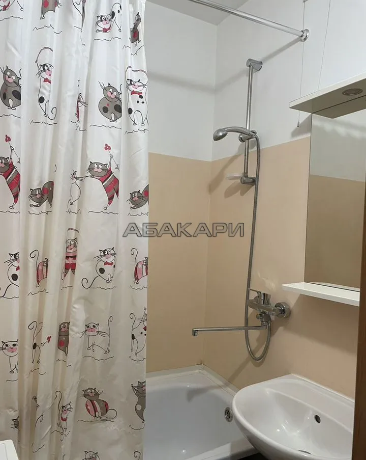 1-комнатная улица Петра Подзолкова, 5Б  за 32000 руб/мес фото 6