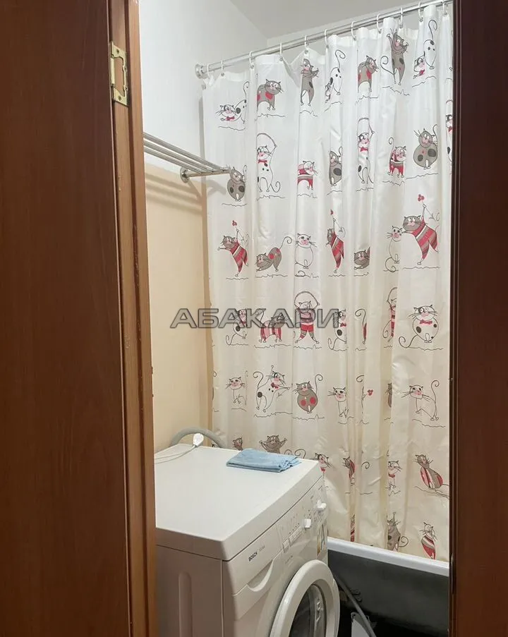 1-комнатная улица Петра Подзолкова, 5Б  за 32000 руб/мес фото 7