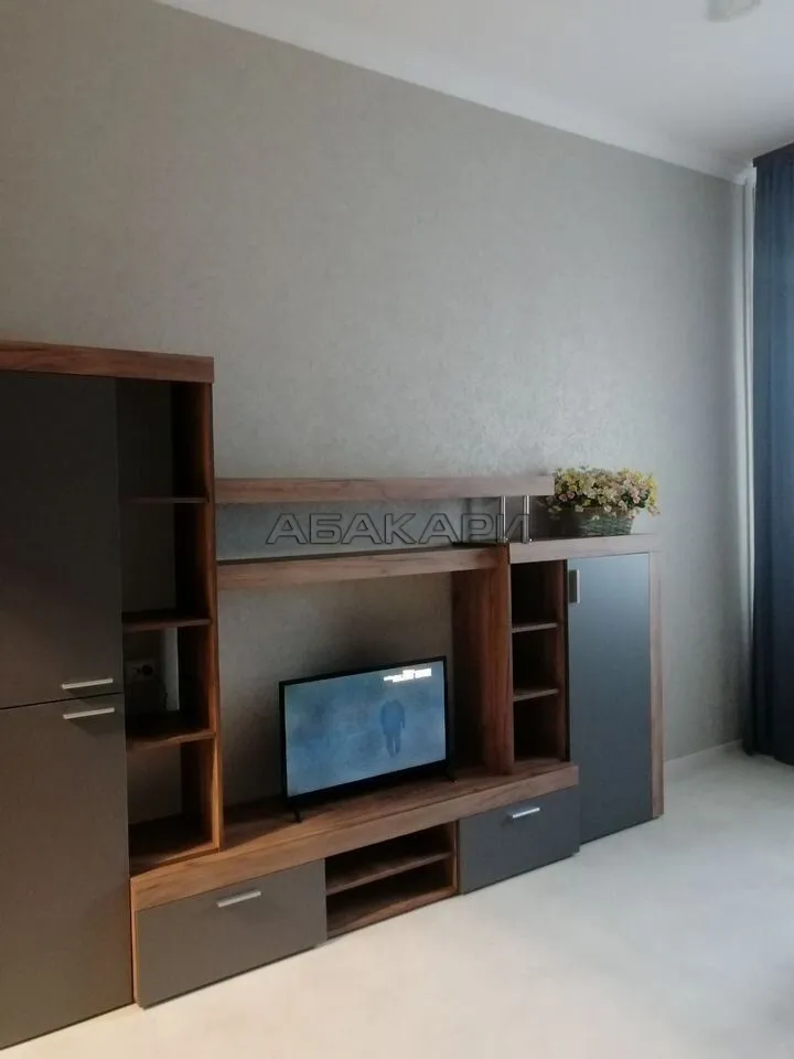 1-комнатная Светлогорская улица, 9  за 38000 руб/мес фото 6