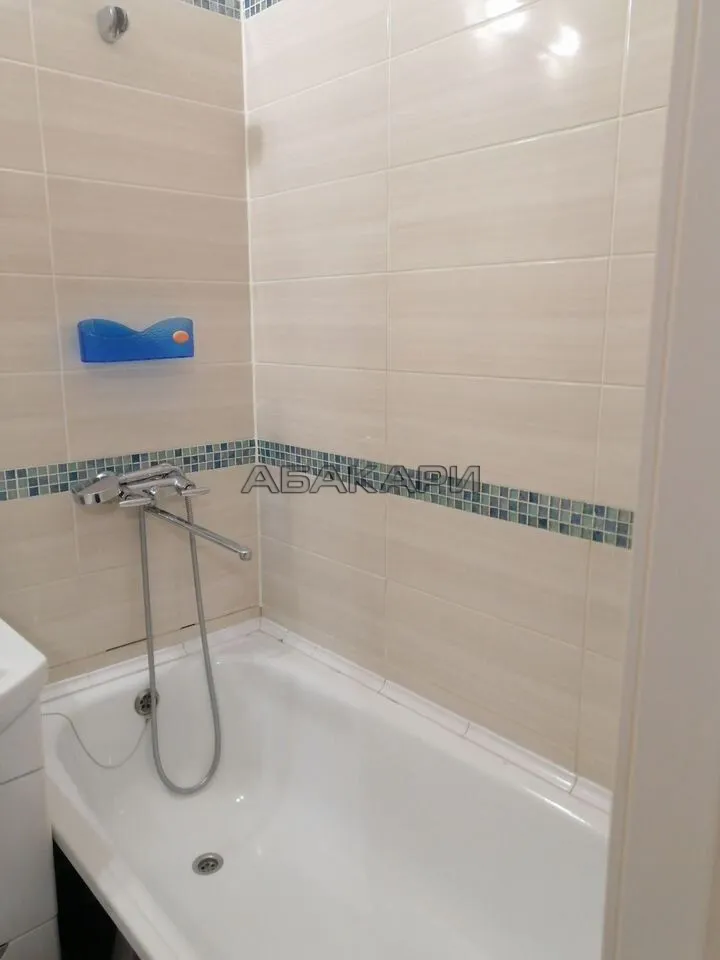 1-комнатная Светлогорская улица, 9  за 38000 руб/мес фото 12