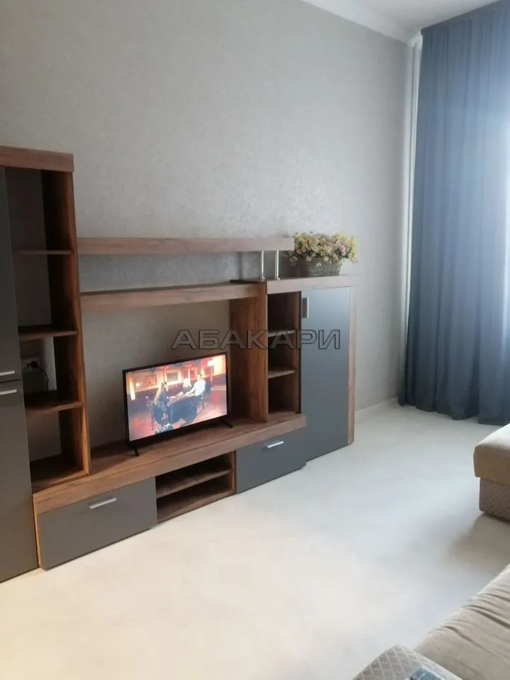 1-комнатная Светлогорская улица, 9  за 38000 руб/мес фото 19