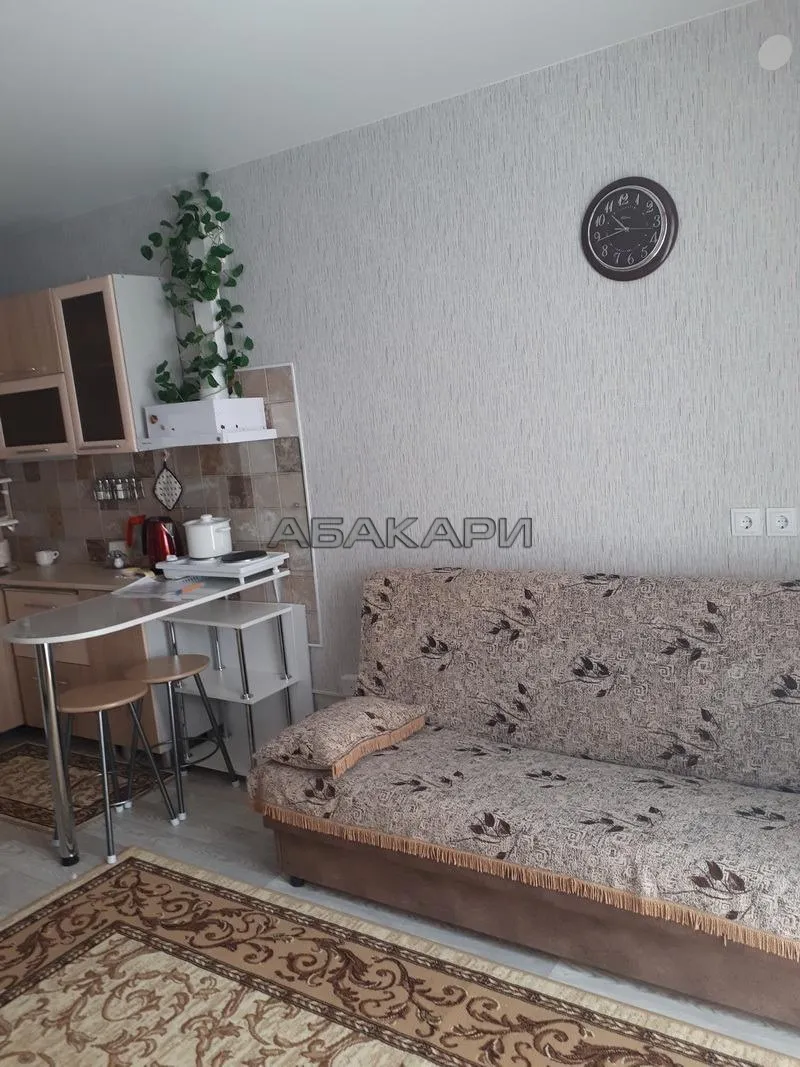 студия проспект 60 лет Образования СССР, 58Д за 26000 руб/мес фото 6 студия проспект 60 лет Образования СССР, 58Д за 26000 руб/мес фото 6