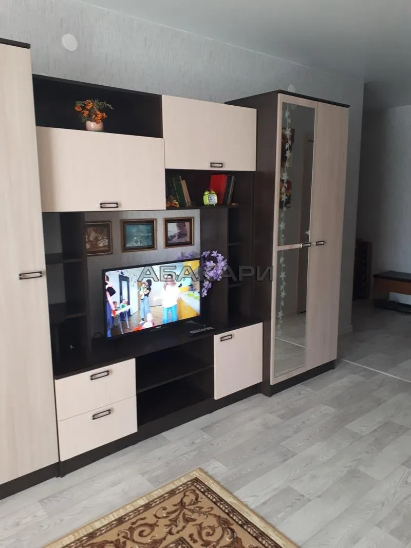 студия проспект 60 лет Образования СССР, 58Д за 26000 руб/мес фото 4 студия проспект 60 лет Образования СССР, 58Д за 26000 руб/мес фото 4