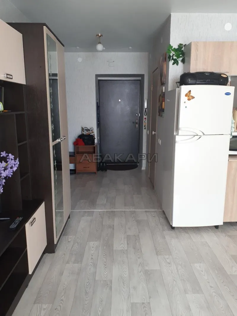 студия проспект 60 лет Образования СССР, 58Д за 26000 руб/мес фото 10 студия проспект 60 лет Образования СССР, 58Д за 26000 руб/мес фото 10