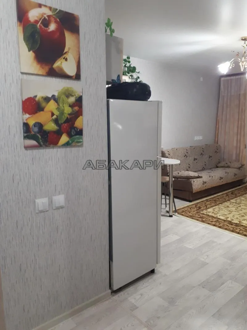 студия проспект 60 лет Образования СССР, 58Д за 26000 руб/мес фото 11 студия проспект 60 лет Образования СССР, 58Д за 26000 руб/мес фото 11