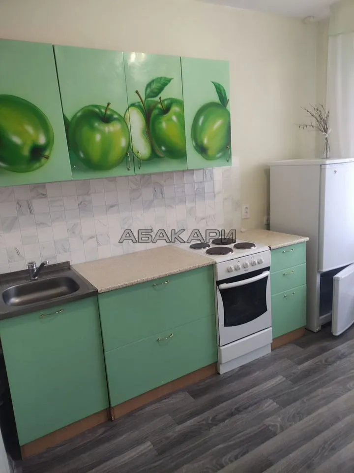 1-комнатная Светлогорская улица, 35 за 26000 руб/мес фото 1 1-комнатная Светлогорская улица, 35 за 26000 руб/мес фото 1