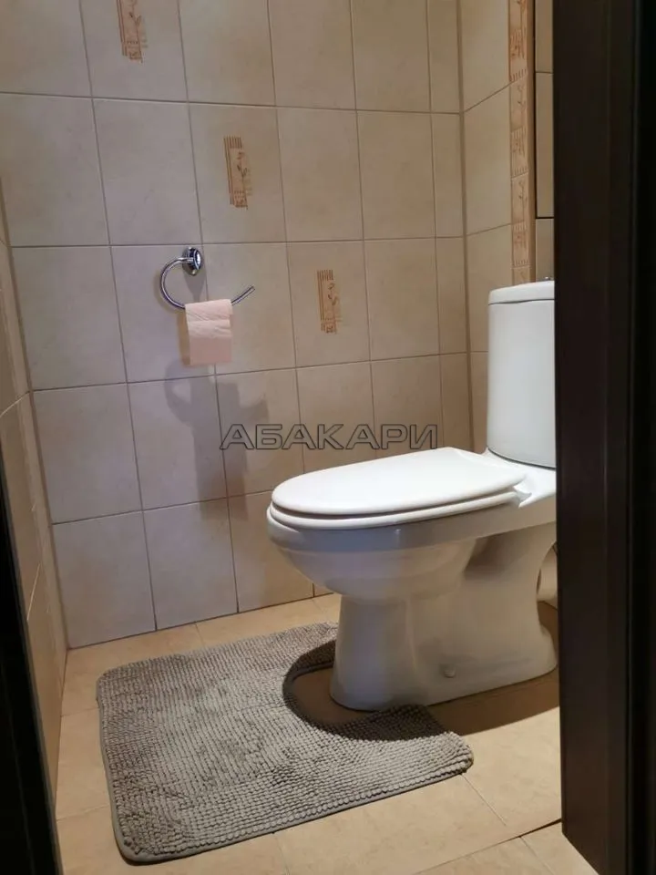 2-комнатная улица Толстого, 17  за 45000 руб/мес фото 18