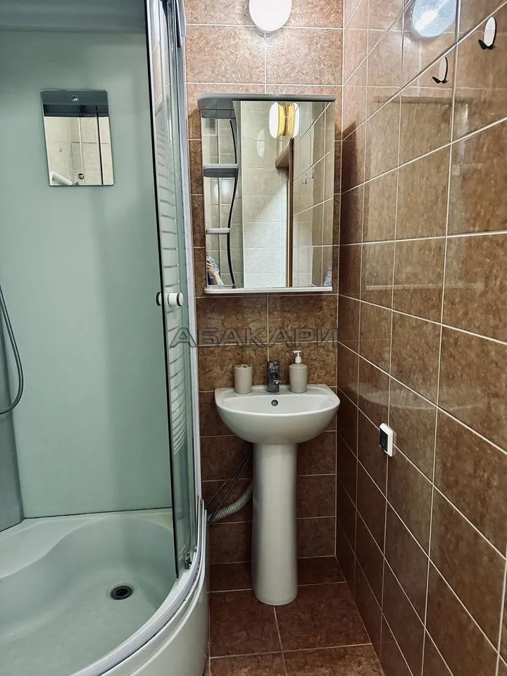 1-комнатная улица Борисова, 44  за 38000 руб/мес фото 8