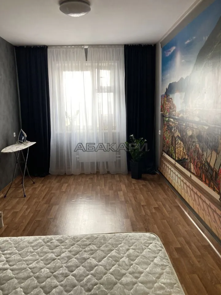 1-комнатная улица Петра Подзолкова, 5А  за 30000 руб/мес фото 5