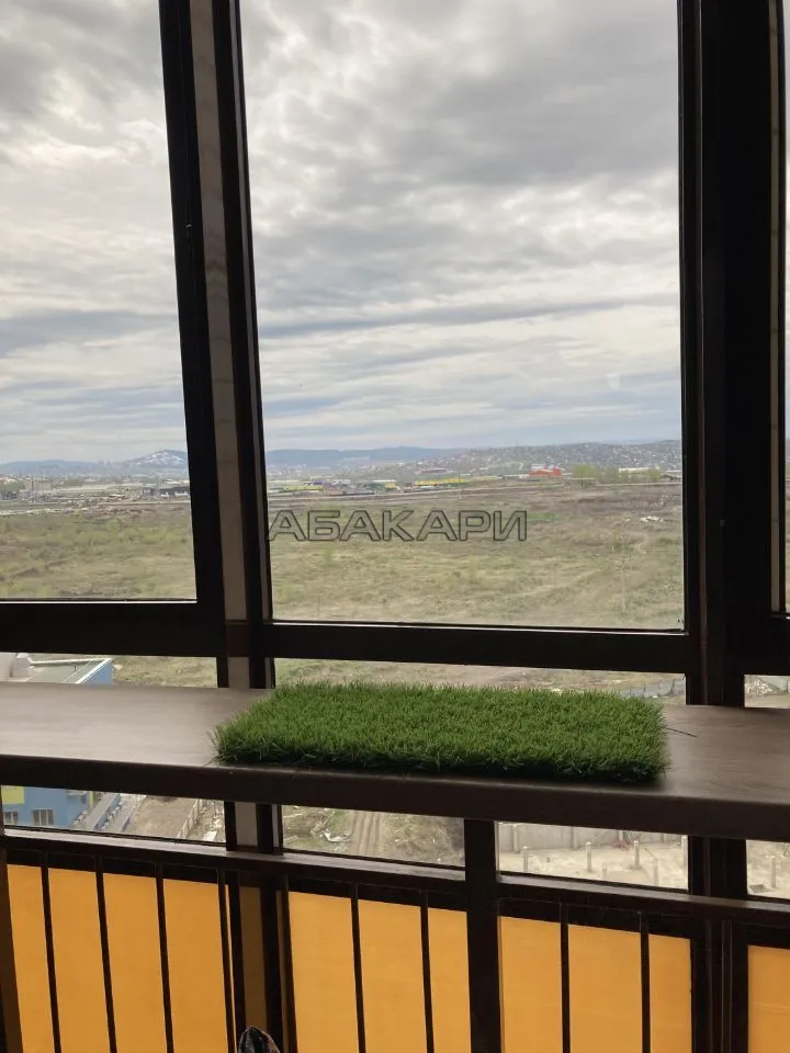 1-комнатная улица Петра Подзолкова, 5А  за 30000 руб/мес фото 7