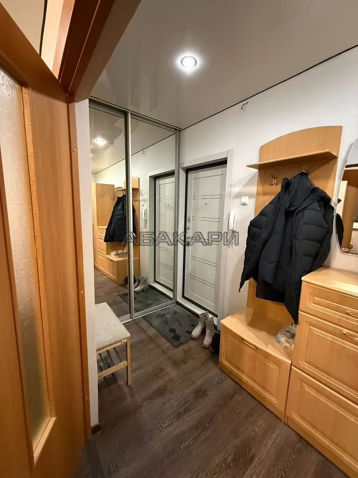 1-комнатная улица Вильского, 6А  за 30000 руб/мес фото 2