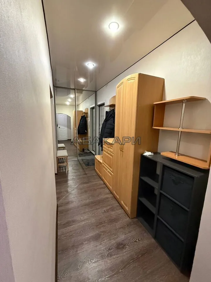 1-комнатная улица Вильского, 6А  за 30000 руб/мес фото 4