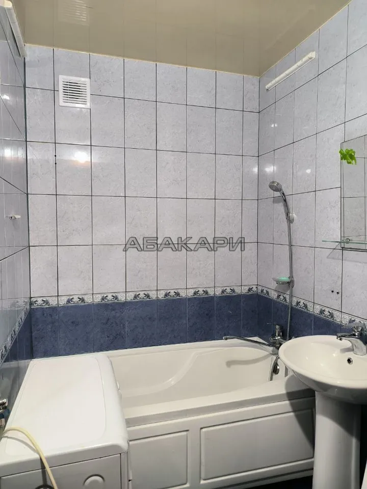 1-комнатная улица Академика Павлова, 18  за 25000 руб/мес фото 11