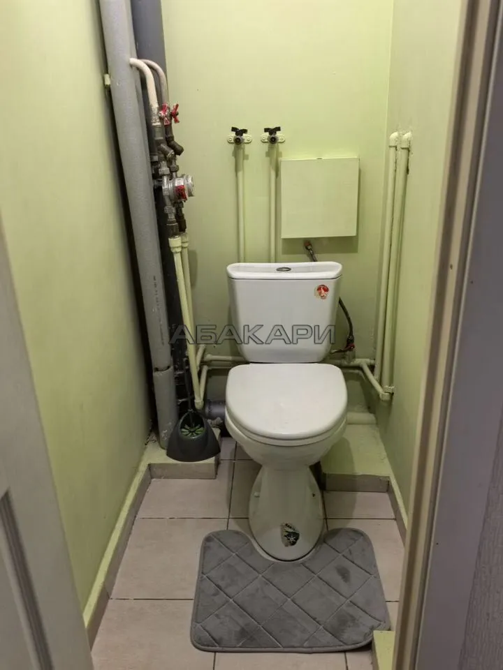 1-комнатная улица Дмитрия Мартынова, 29  за 30000 руб/мес фото 12