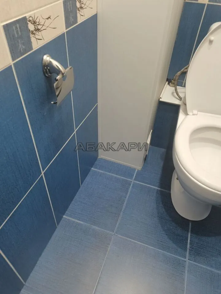 1-комнатная Свободный проспект, 10  за 35000 руб/мес фото 17