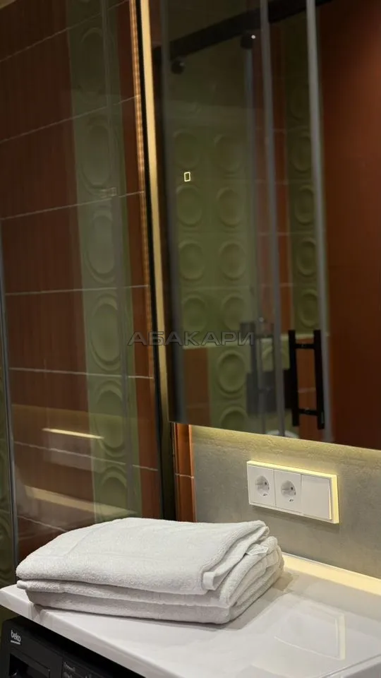 студия Свободный проспект, 66Рк4  за 42000 руб/мес фото 15