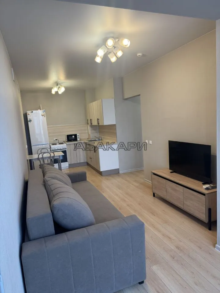 2-комнатная улица Партизана Железняка, 48И  за 40000 руб/мес фото 10