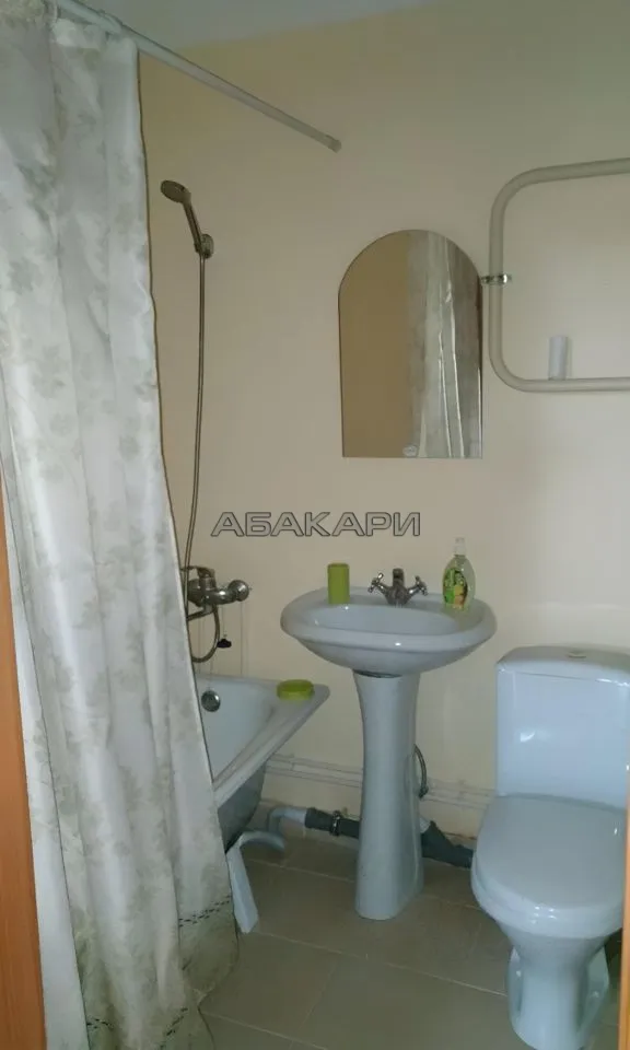 1-комнатная Лесопарковая улица, 27  за 27000 руб/мес фото 2