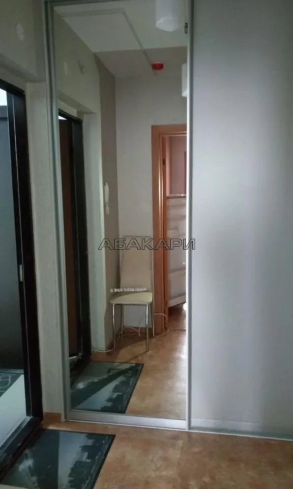 1-комнатная Лесопарковая улица, 27  за 27000 руб/мес фото 3