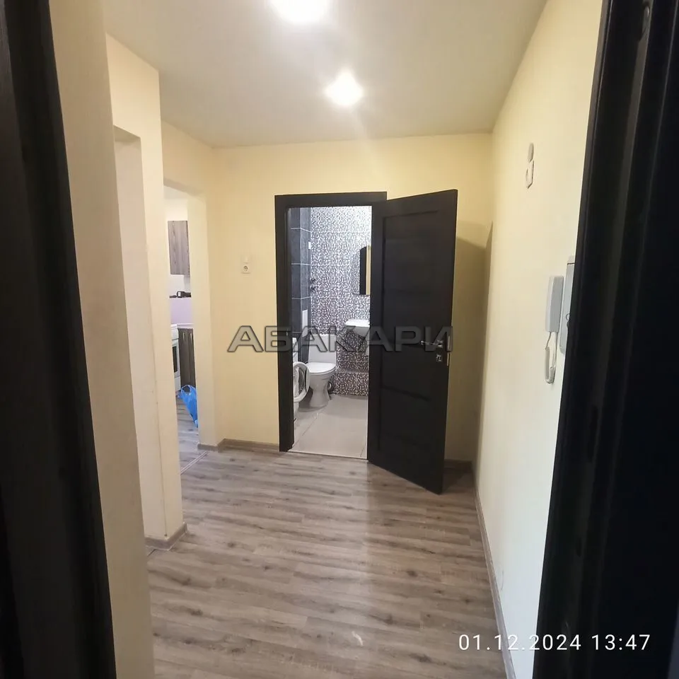 1-комнатная Светлогорский переулок, 10Б за 29000 руб/мес фото 3 1-комнатная Светлогорский переулок, 10Б за 29000 руб/мес фото 3