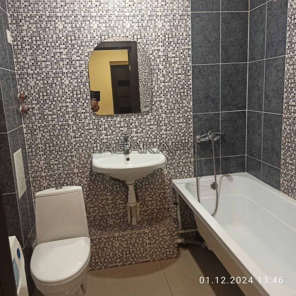 1-комнатная Светлогорский переулок, 10Б за 29000 руб/мес фото 7 1-комнатная Светлогорский переулок, 10Б за 29000 руб/мес фото 7