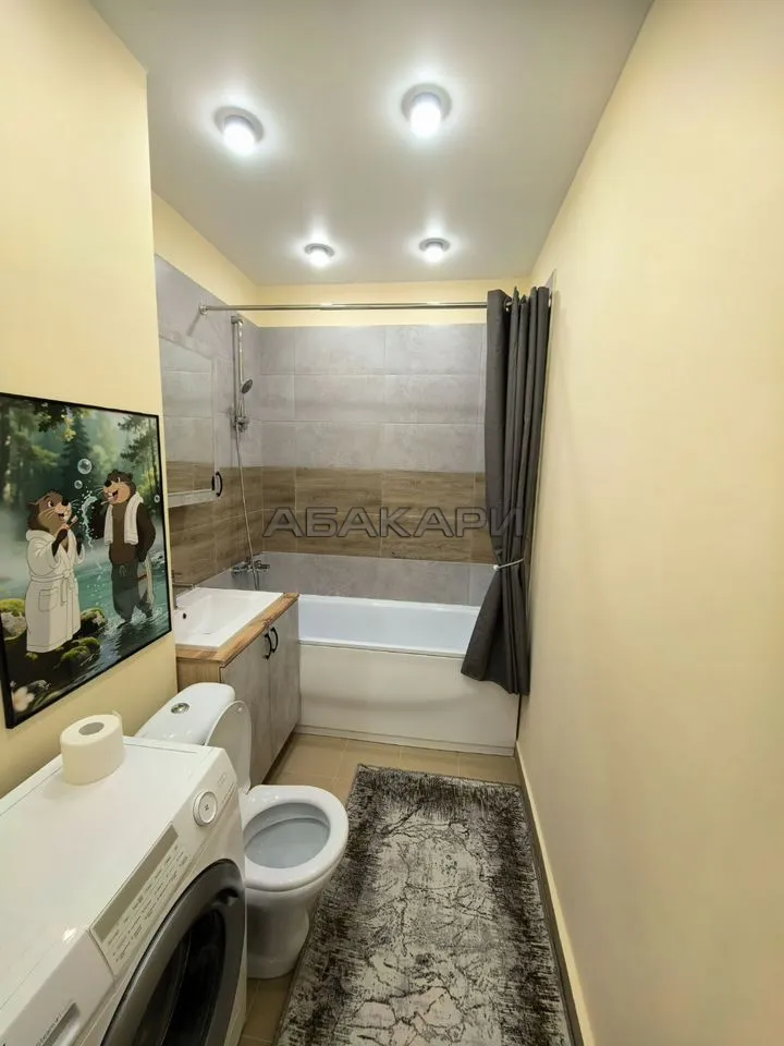 1-комнатная улица Петра Подзолкова, 24 за 38000 руб/мес фото 11 1-комнатная улица Петра Подзолкова, 24 за 38000 руб/мес фото 11