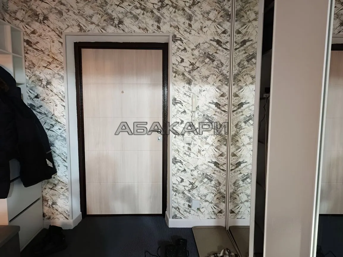 1-комнатная Дудинская улица, 2Е  за 40000 руб/мес фото 10