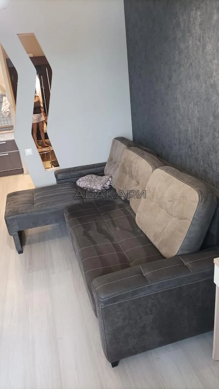 студия Светлогорский переулок, 4  за 31000 руб/мес фото 7