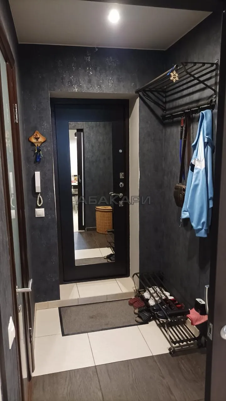 студия Светлогорский переулок, 4  за 31000 руб/мес фото 17