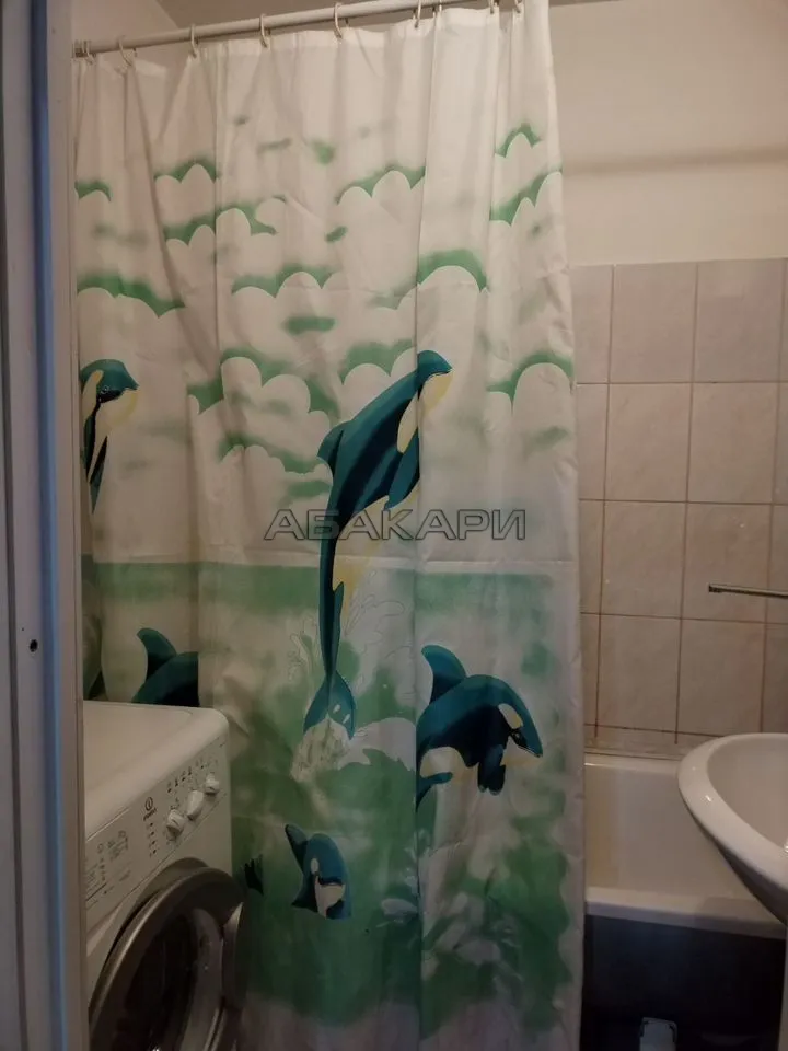 1-комнатная улица Чернышевского, 100  за 29000 руб/мес фото 13