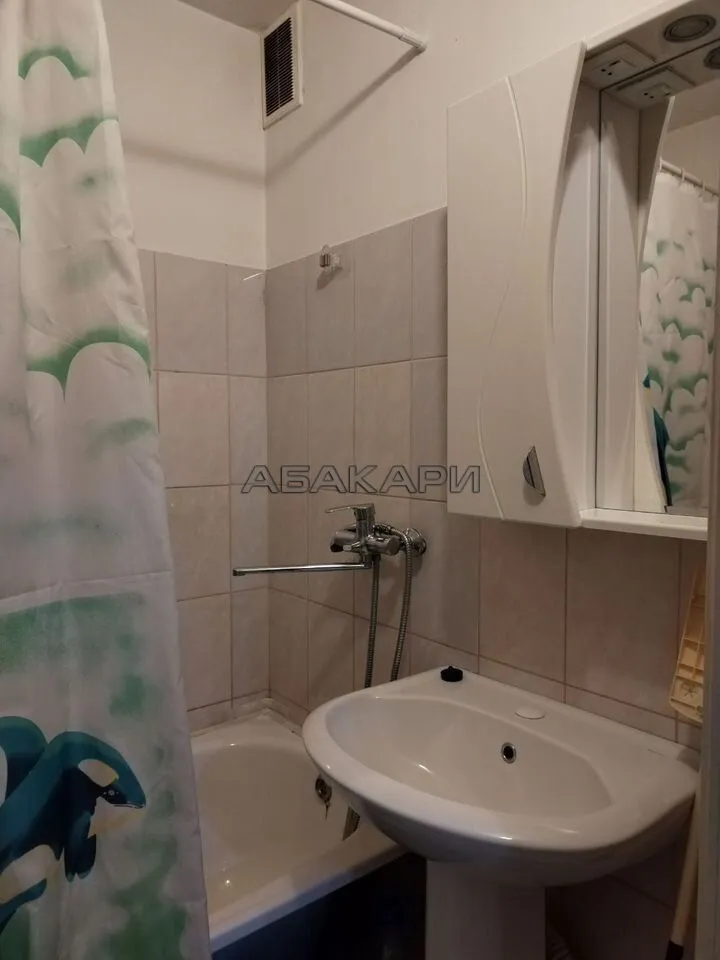 1-комнатная улица Чернышевского, 100  за 29000 руб/мес фото 12