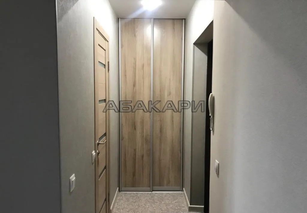 1-комнатная Лесопарковая улица, 49 за 27000 руб/мес фото 3 1-комнатная Лесопарковая улица, 49 за 27000 руб/мес фото 3