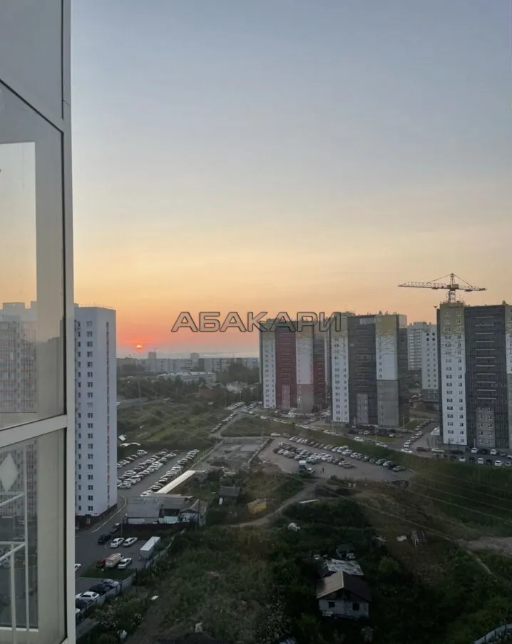 1-комнатная Лесопарковая улица, 49 за 27000 руб/мес фото 4 1-комнатная Лесопарковая улица, 49 за 27000 руб/мес фото 4