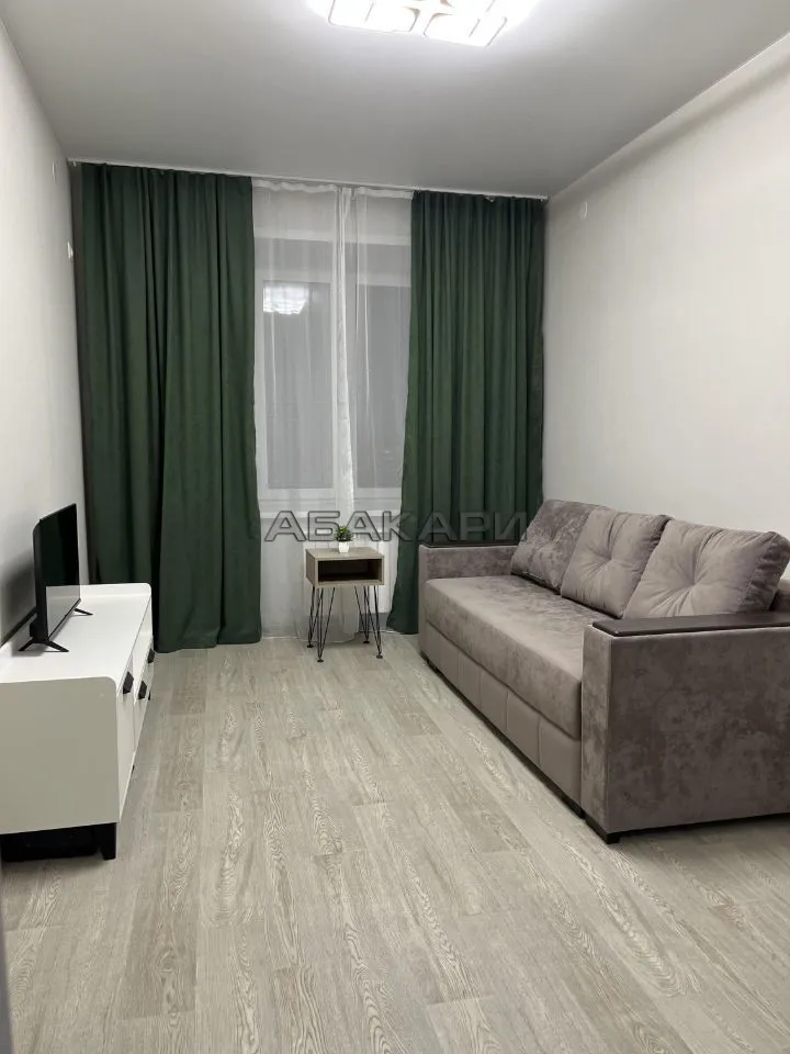 1-комнатная Регатная улица, 3  за 40000 руб/мес фото 2