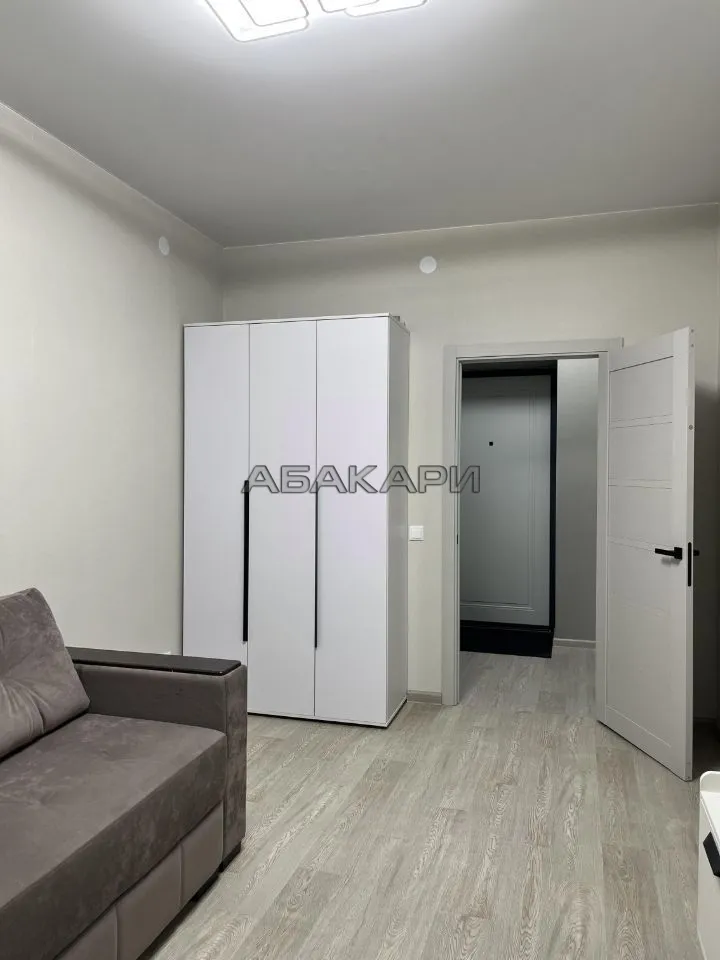 1-комнатная Регатная улица, 3  за 40000 руб/мес фото 4