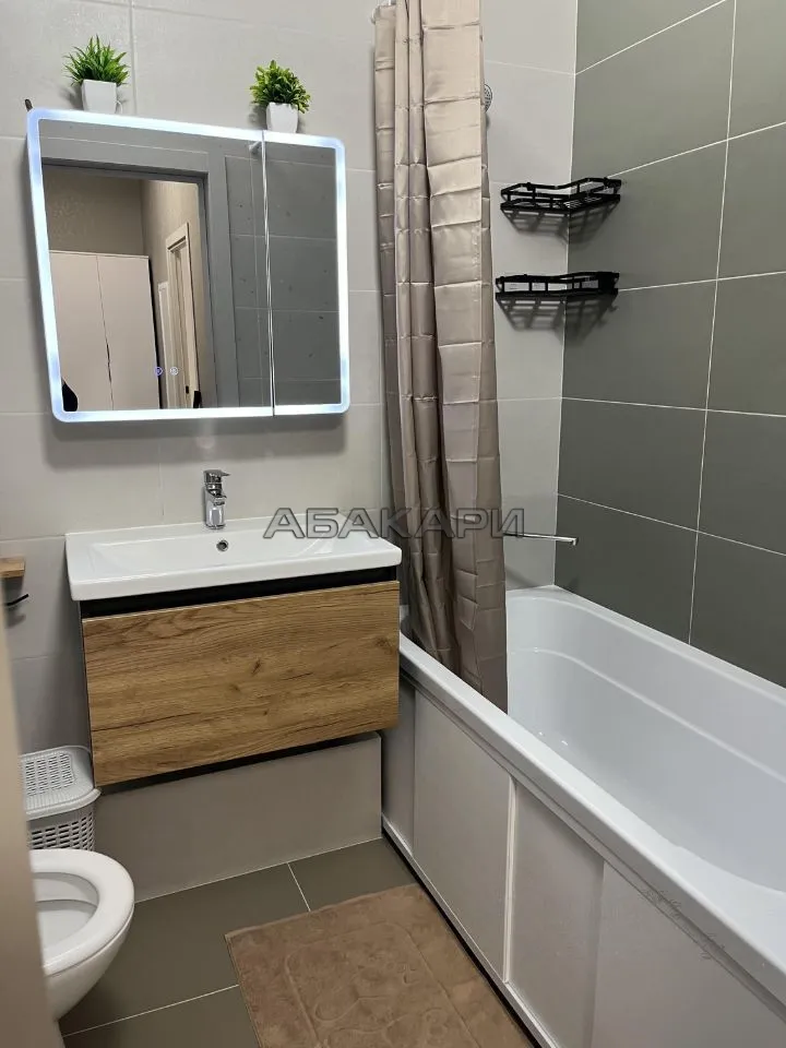 1-комнатная Регатная улица, 3  за 40000 руб/мес фото 5