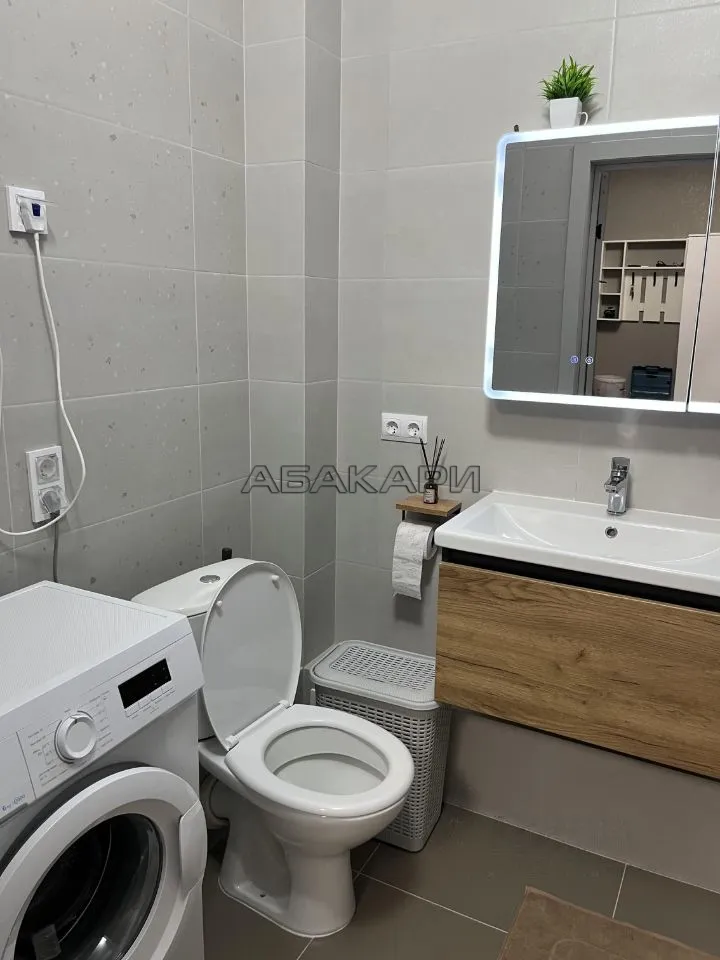 1-комнатная Регатная улица, 3  за 40000 руб/мес фото 6