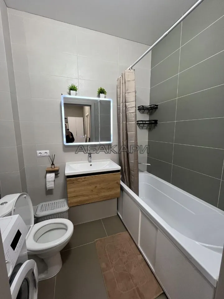 1-комнатная Регатная улица, 3  за 40000 руб/мес фото 7