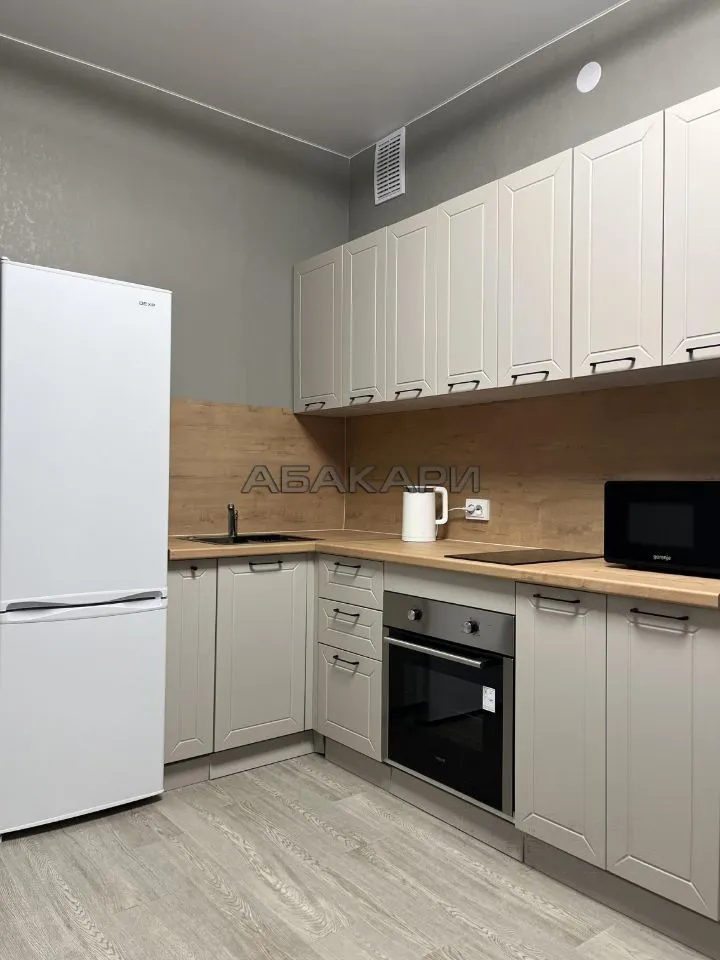 1-комнатная Регатная улица, 3  за 40000 руб/мес фото 1