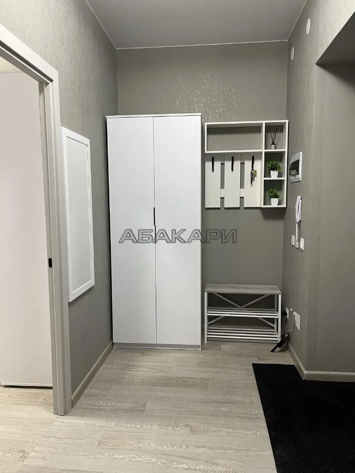 1-комнатная Регатная улица, 3  за 40000 руб/мес фото 10