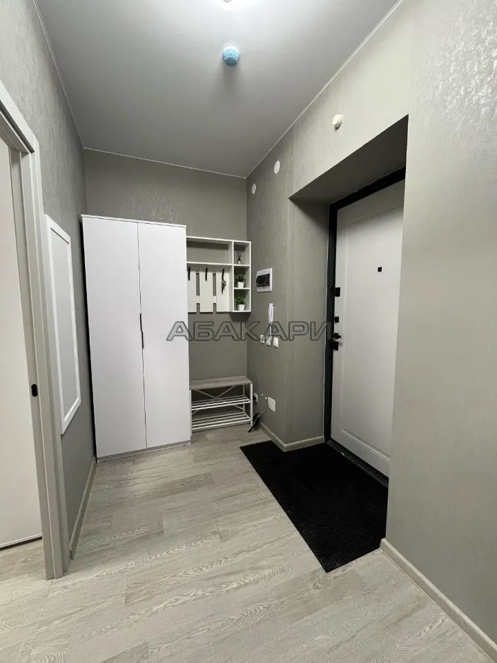 1-комнатная Регатная улица, 3  за 40000 руб/мес фото 11
