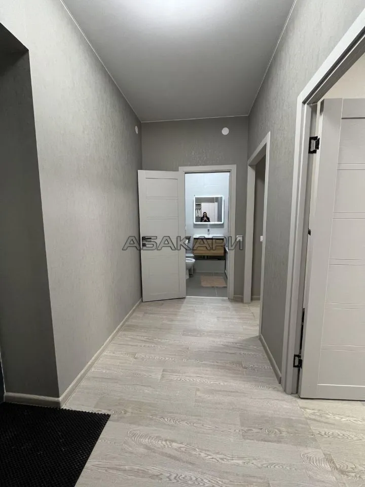 1-комнатная Регатная улица, 3  за 40000 руб/мес фото 12