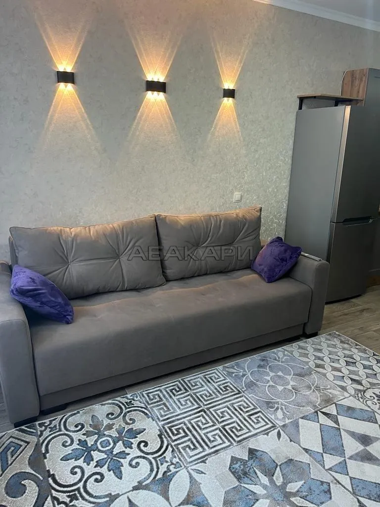 1-комнатная улица Партизана Железняка, 38А за 50000 руб/мес фото 12 1-комнатная улица Партизана Железняка, 38А за 50000 руб/мес фото 12