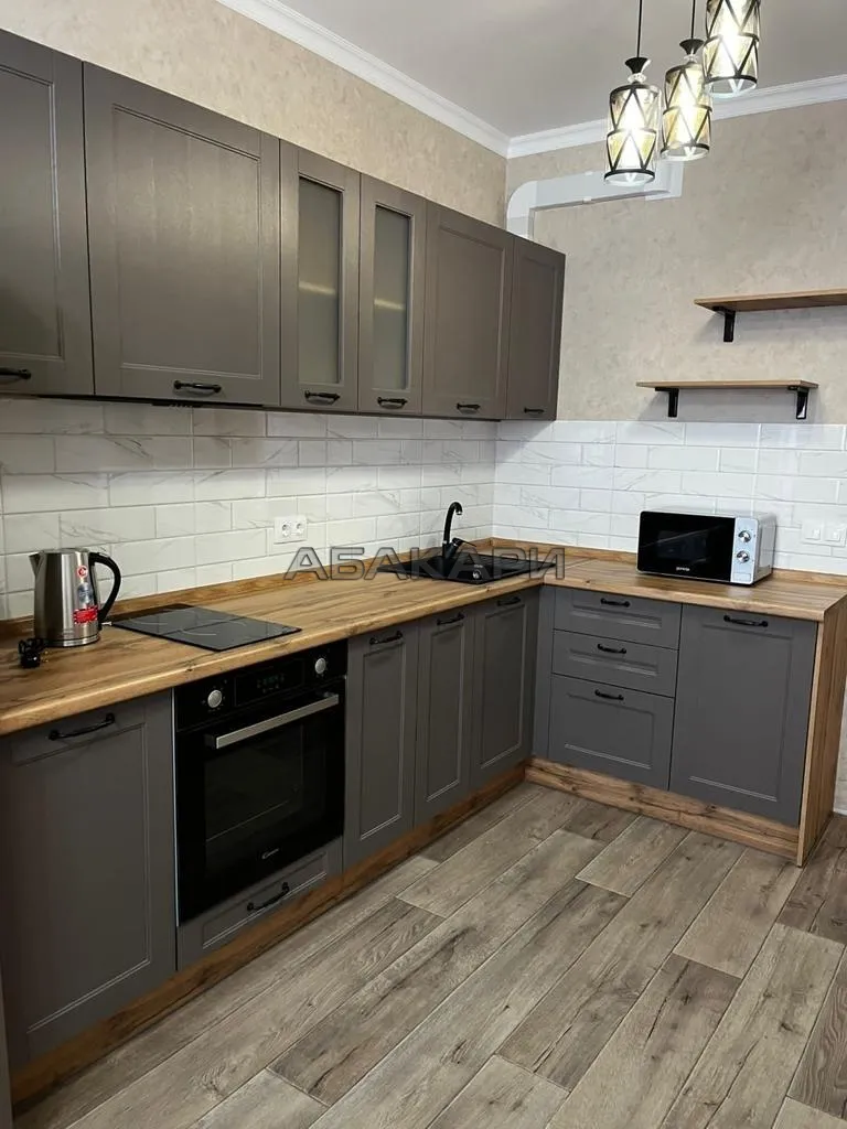 1-комнатная улица Партизана Железняка, 38А за 50000 руб/мес фото 1 1-комнатная улица Партизана Железняка, 38А за 50000 руб/мес фото 1