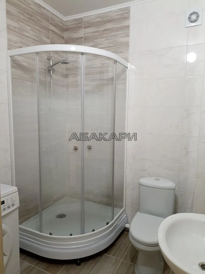 студия Дудинская улица, 2Д  за 30000 руб/мес фото 6